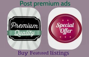 paid-advertising-premium-ads